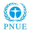 logo_PNUEFRPAM40y_COLOUR-100x107.png